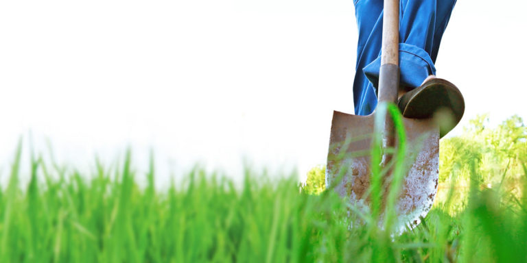 Outils de jardinage que tout propriétaire devrait posséder