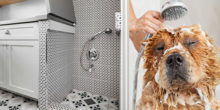 Construire une station de lavage pour chiens