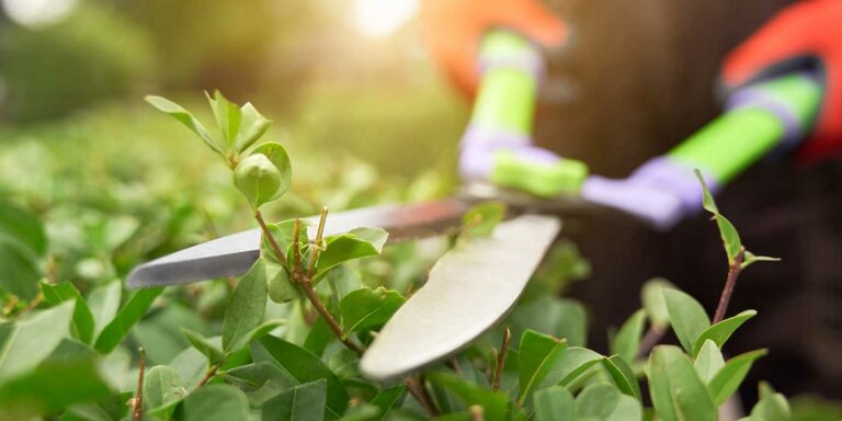 Conseils pour l&rsquo;entretien des outils de jardinage