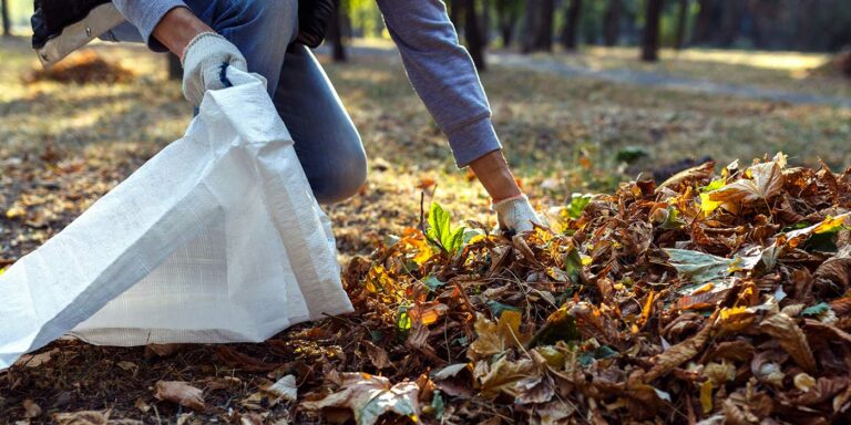 Conseils pour le nettoyage extérieur du printemps